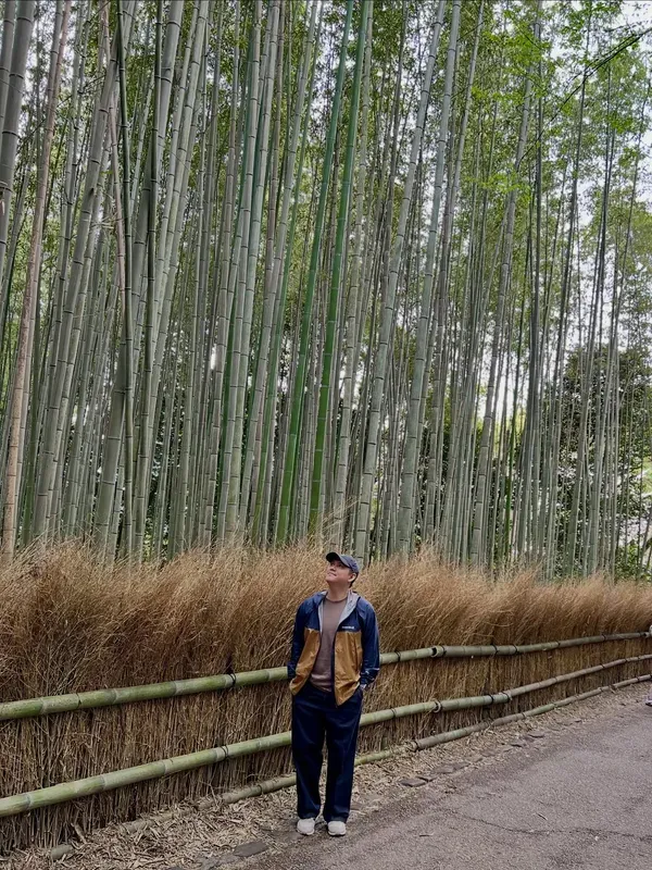 Arashiyama Bamboo Grove visitor photo 5